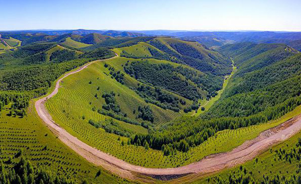 福建正规西柏坡干部培训学院咨询